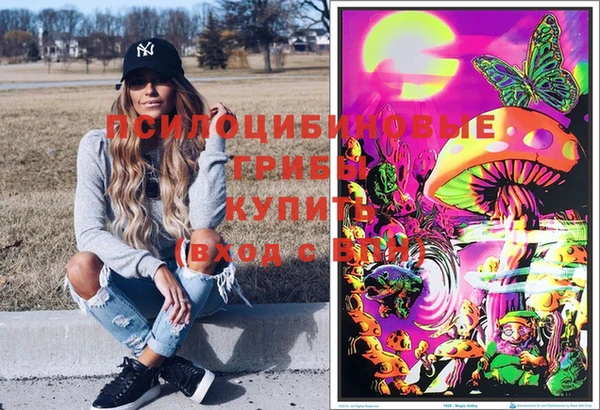 метадон Армянск