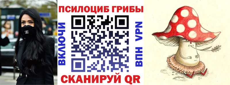 OMG ссылки  Прохладный  Псилоцибиновые грибы мухоморы  продажа наркотиков 